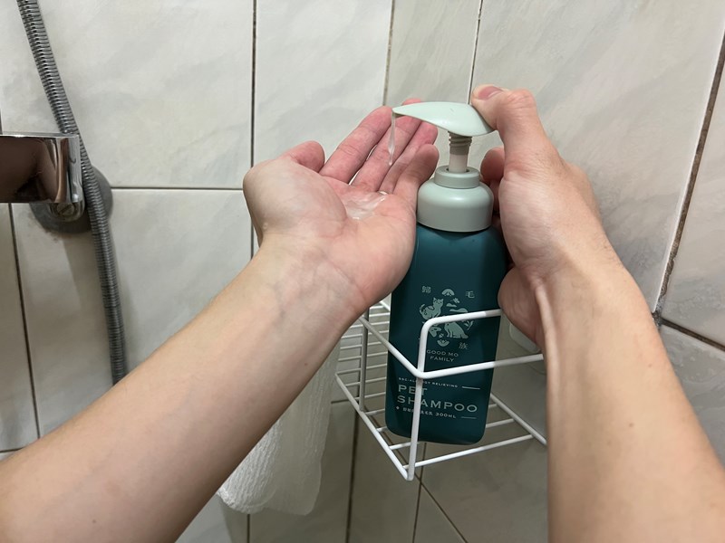試用